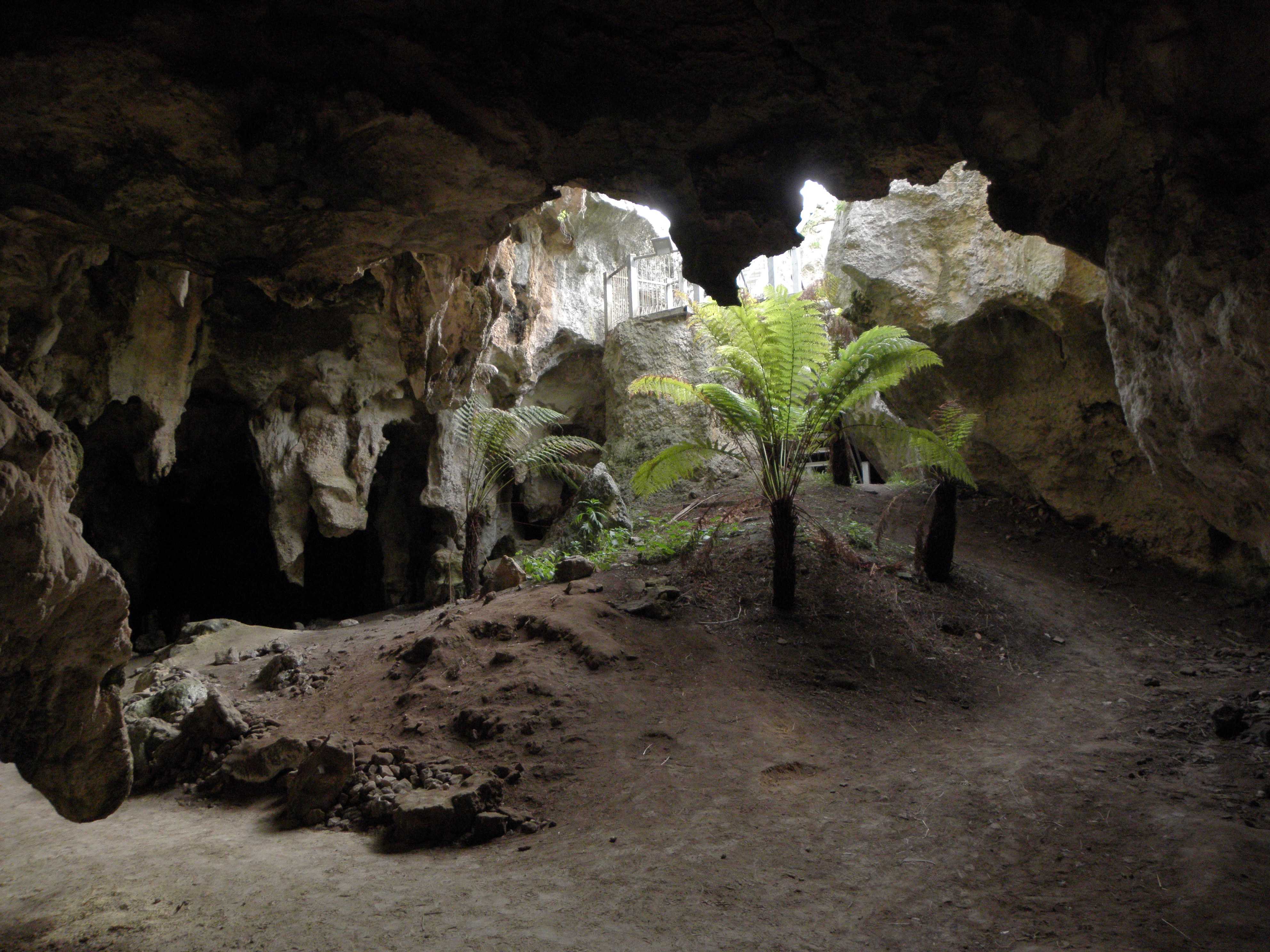 Робот-паук проекта CaveX займется поиском скелетов внутри древних пещер Австралии