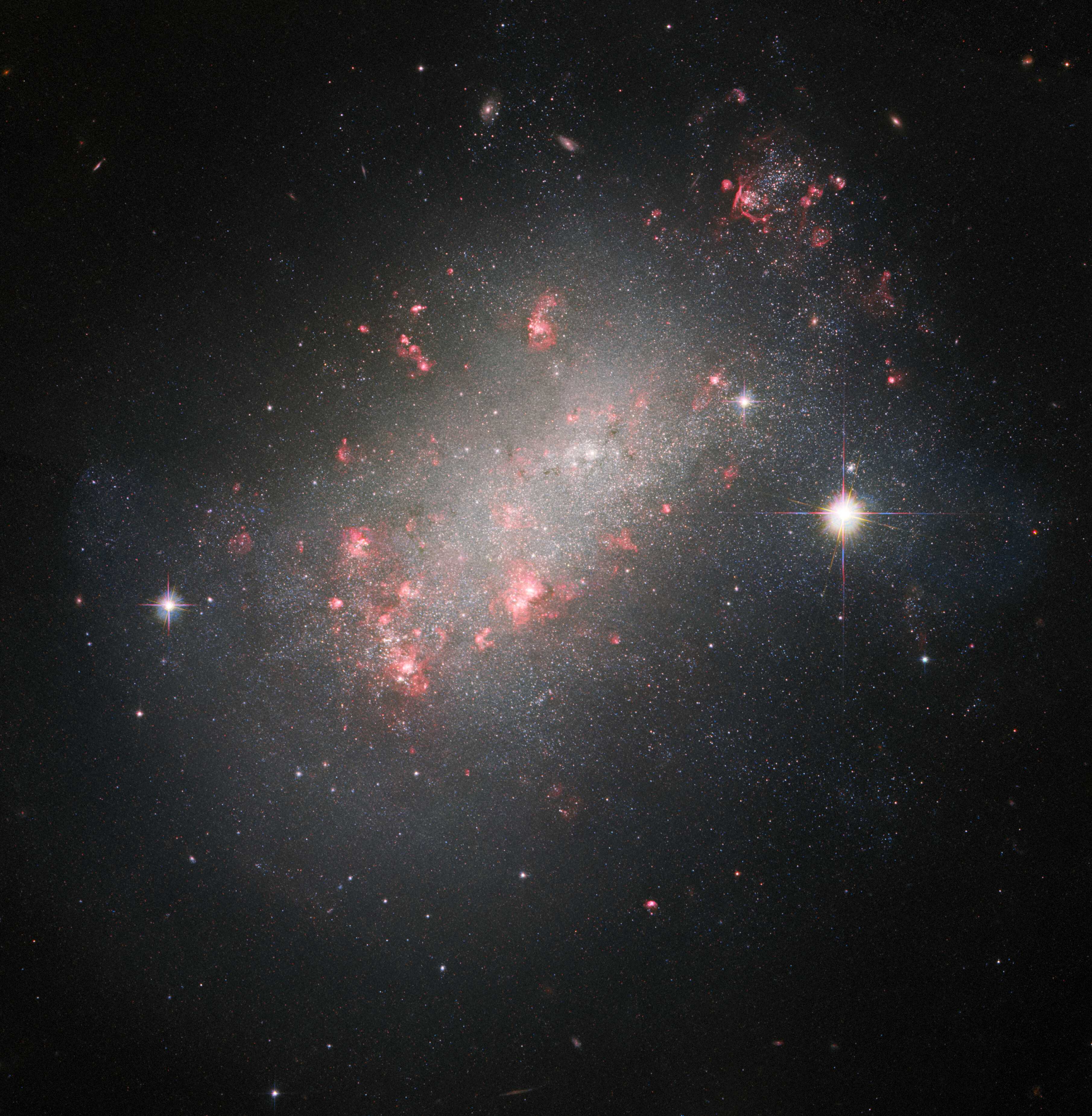 Неправильная галактика NGC 1156 в объективе телескопа «Хаббл»