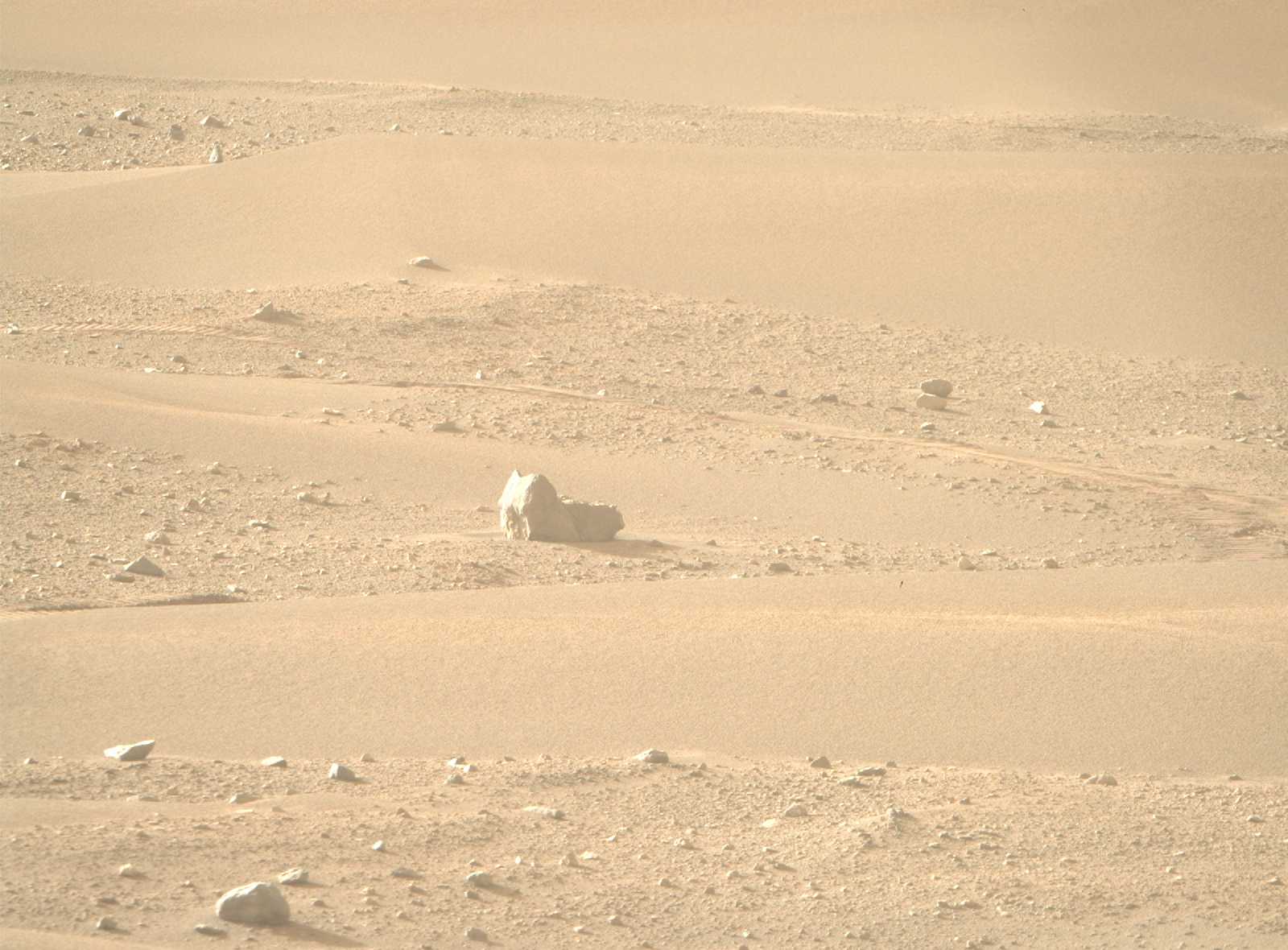 Марсоход Perseverance обнаружил дремлющего «котика» на Красной планете