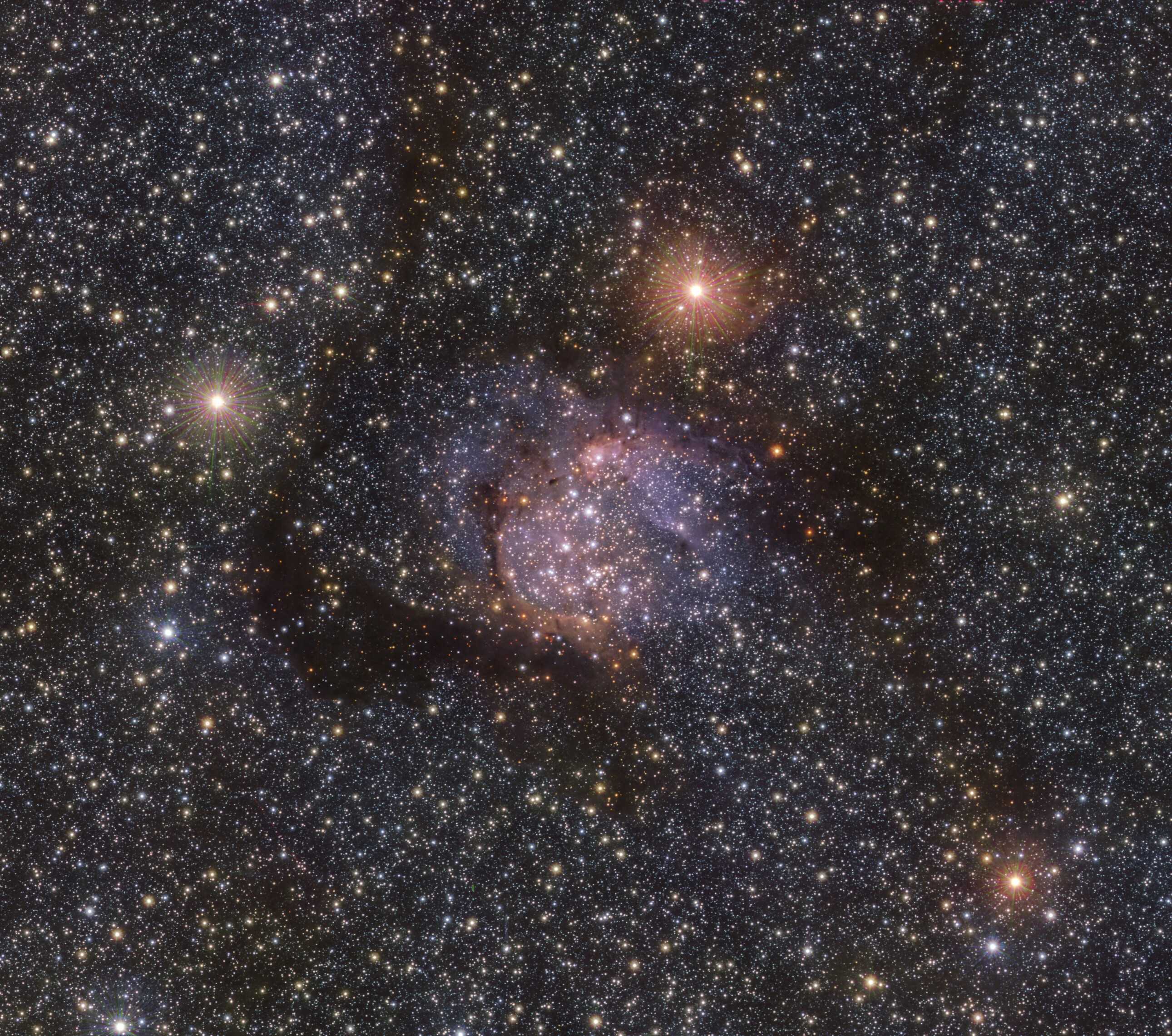 Звезды туманности Sharpless 54
