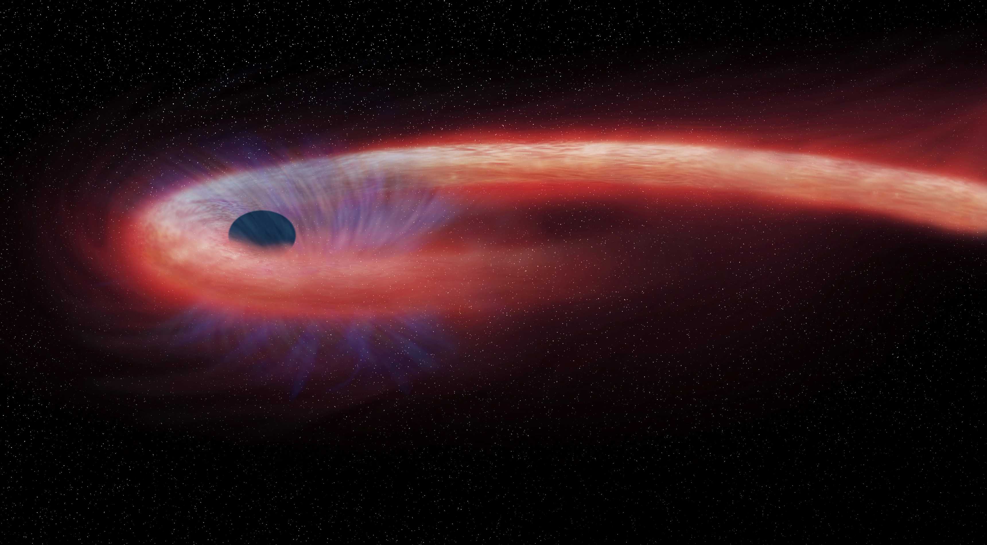 Астрономы увидели ближайшее к Земле событие приливного разрушения звезды черной дырой