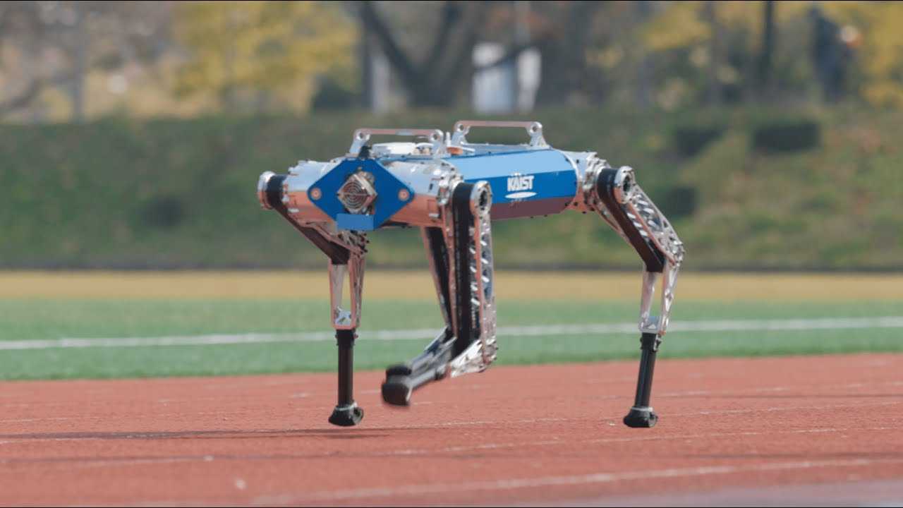 Корейская робособака HOUND установила рекорд среди четвероногих роботов в забеге на 100 метров