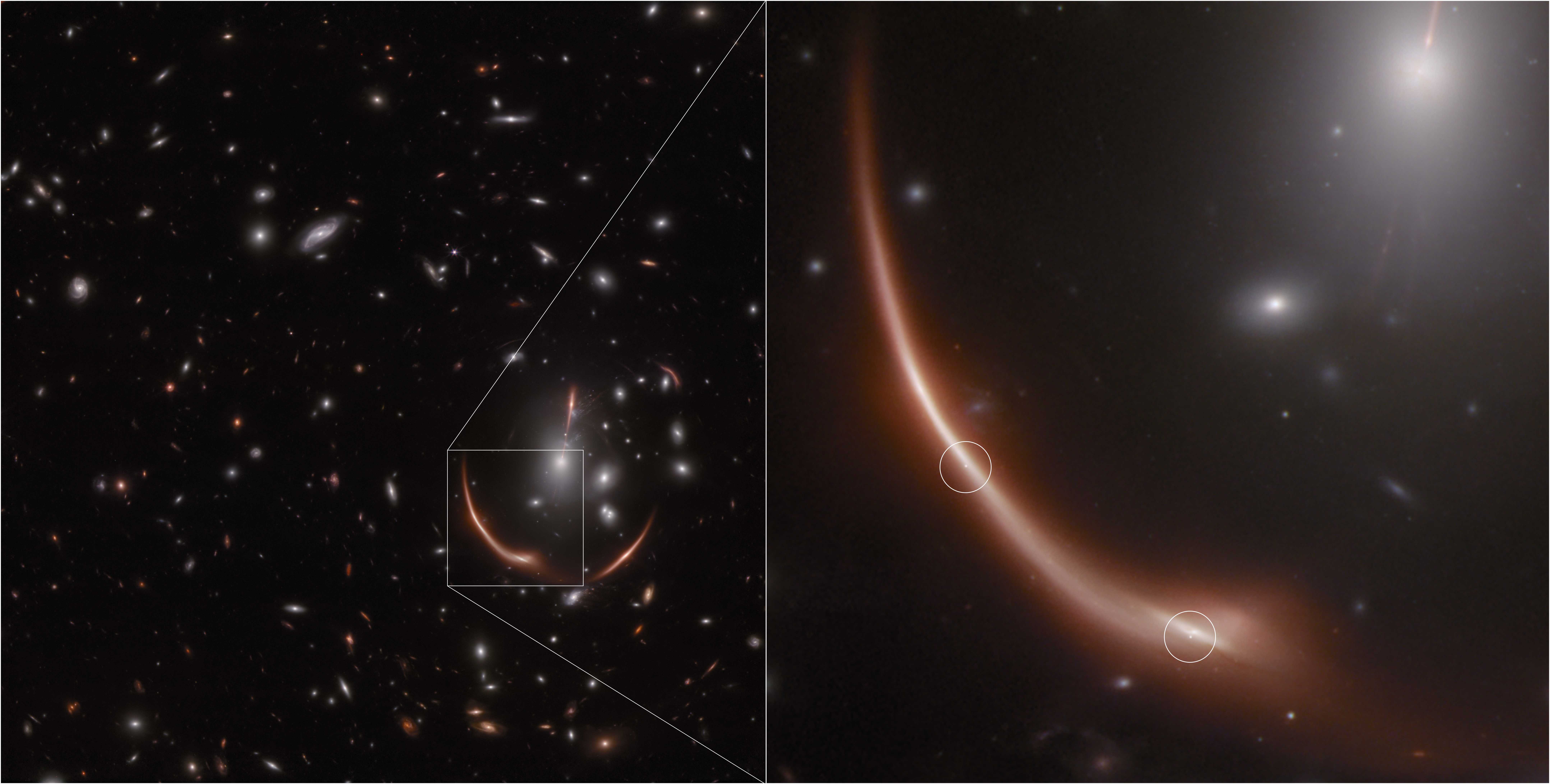 Телескопом Джеймса Уэбба открыта вторая Сверхновая в дальней галактике