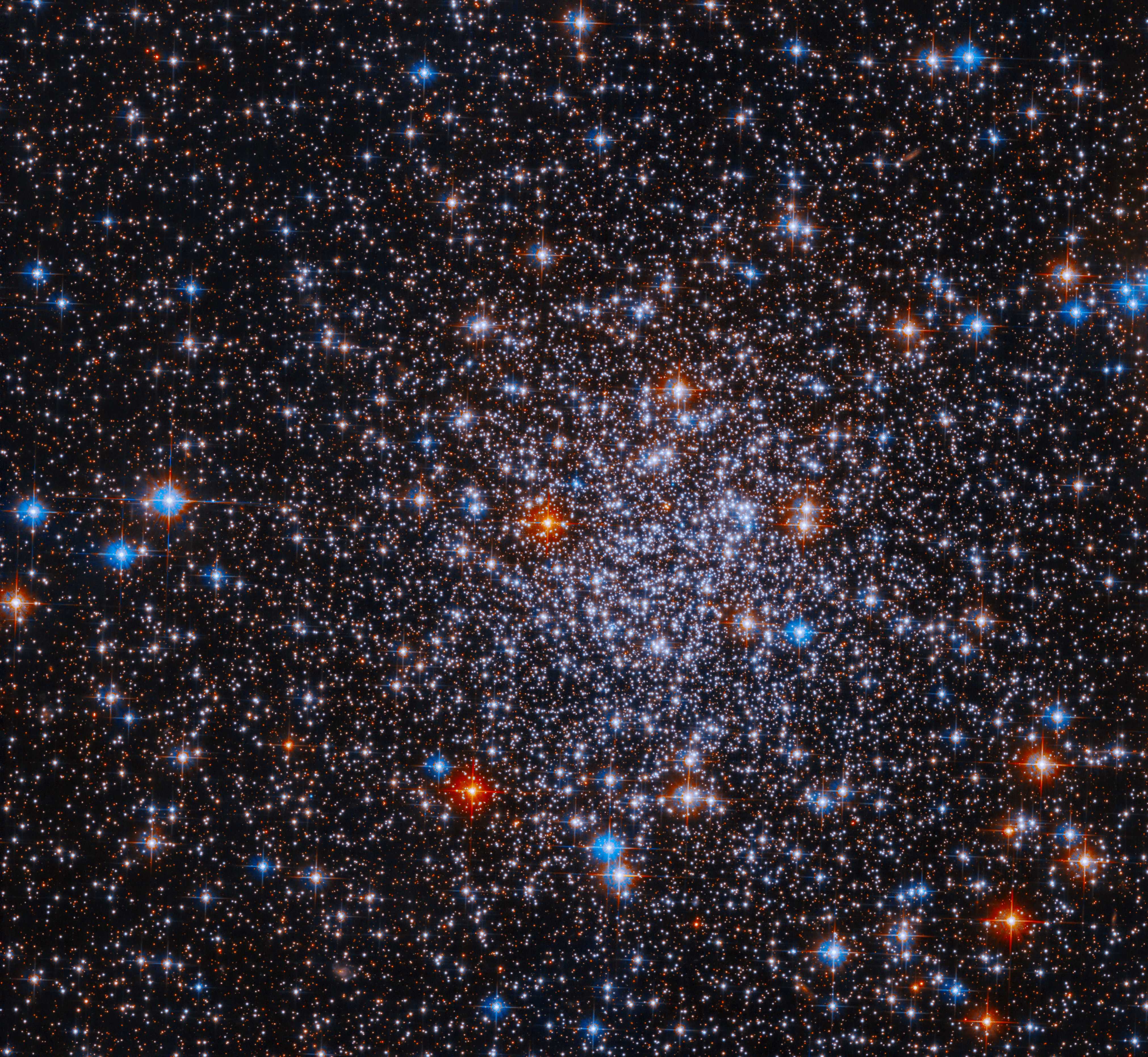 Звездное скопление ESO 591-12 с россыпью белых, синих и красных звезд «Хаббл» получил изображение ранее неисследованного звездного скопления ESO 591-12